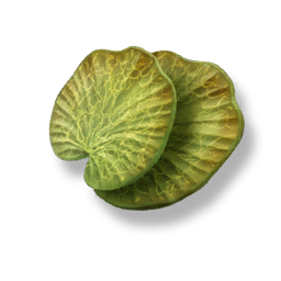 Glowcap