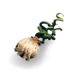 Serpent Root
