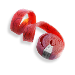 Sulbon